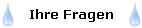 Ihre Fragen