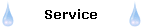 Service